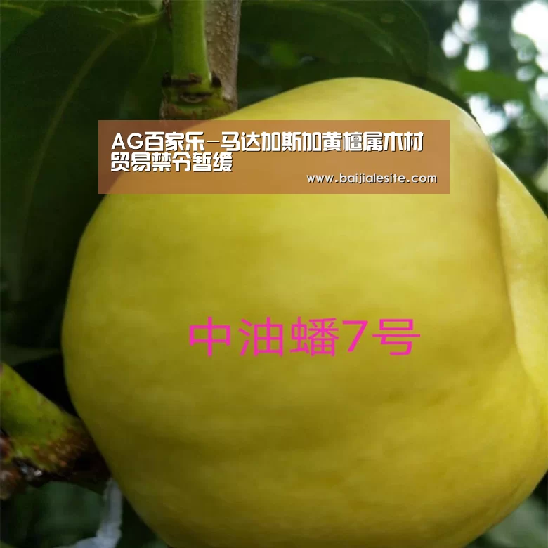 AG百家乐-马达加斯加黄檀属木材贸易禁令暂缓(图1) AG直播