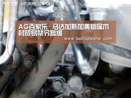AG百家乐-马达加斯加黄檀属木材贸易禁令暂缓(图4) AG直播