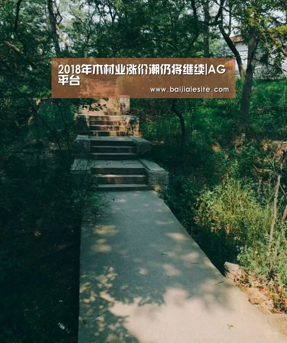 AG百家乐