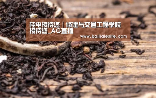 桂电接待您|修建与交通工程学院接待您_AG直播(图3) AG百家乐