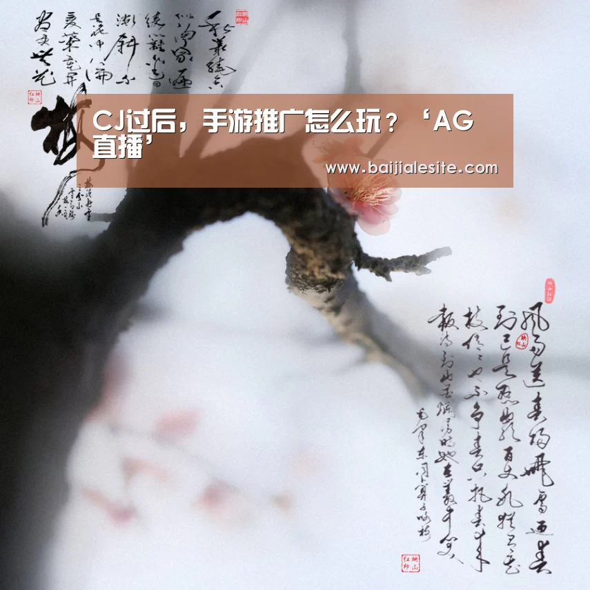 CJ过后,手游推广怎么玩?‘AG直播’(图2) AG视讯